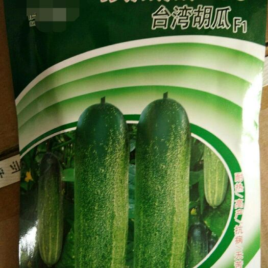 厦门油亮密刺黄瓜种子 胡瓜  顶瓜瓜668