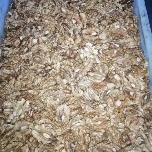 汾阳市核桃仁  新疆新丰尖普白个大饱满，需要联系！