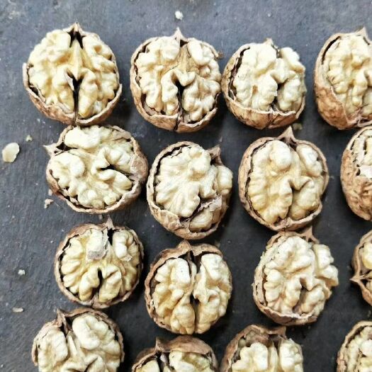 昆明泡核桃  新货麻子果大果