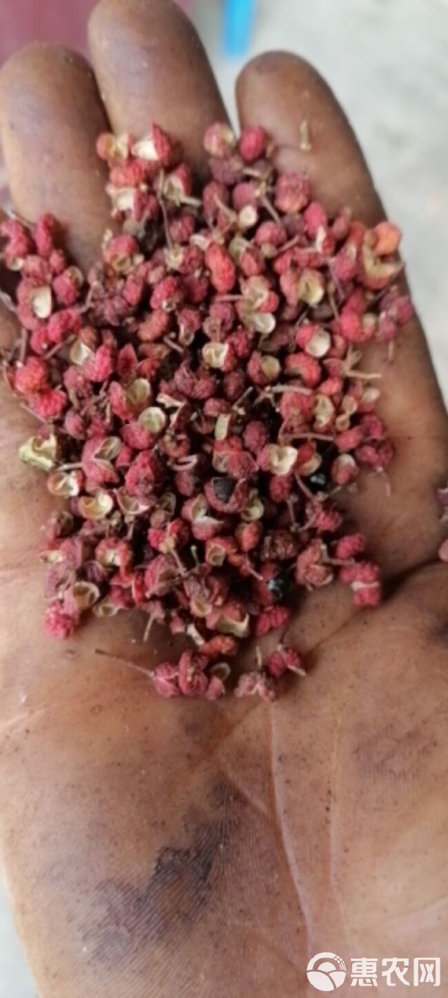 大红袍花椒  陕西花椒，实图拍摄特红特香特麻，产地一手货源，