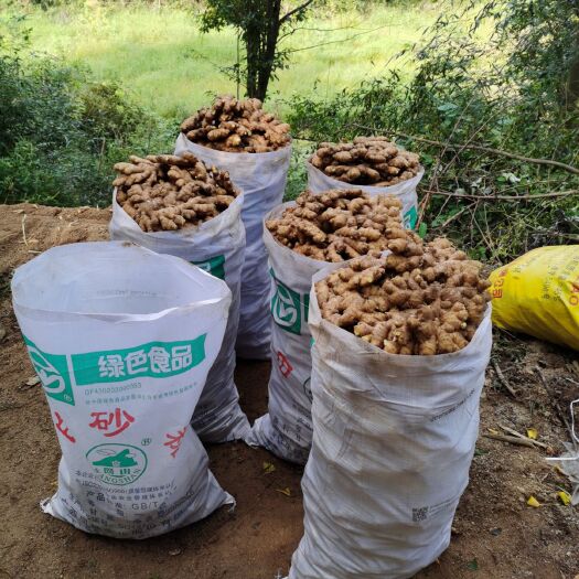 金寨县黄姜 2~4两 带土