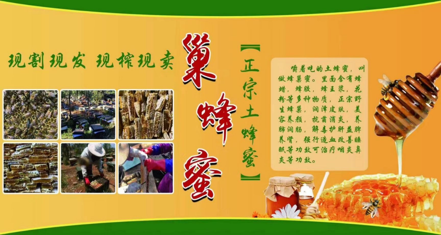 蜂巢蜜  正宗土蜂蜜  可以嚼着吃的蜂蜜厂地直销  量大从优