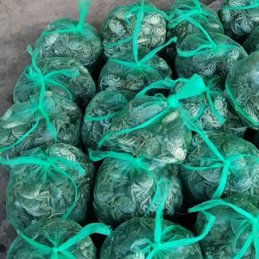 兴化市兴化大闸蟹 大闸蟹产地价销售欢迎各地批发商，经销商，电商，来选购。