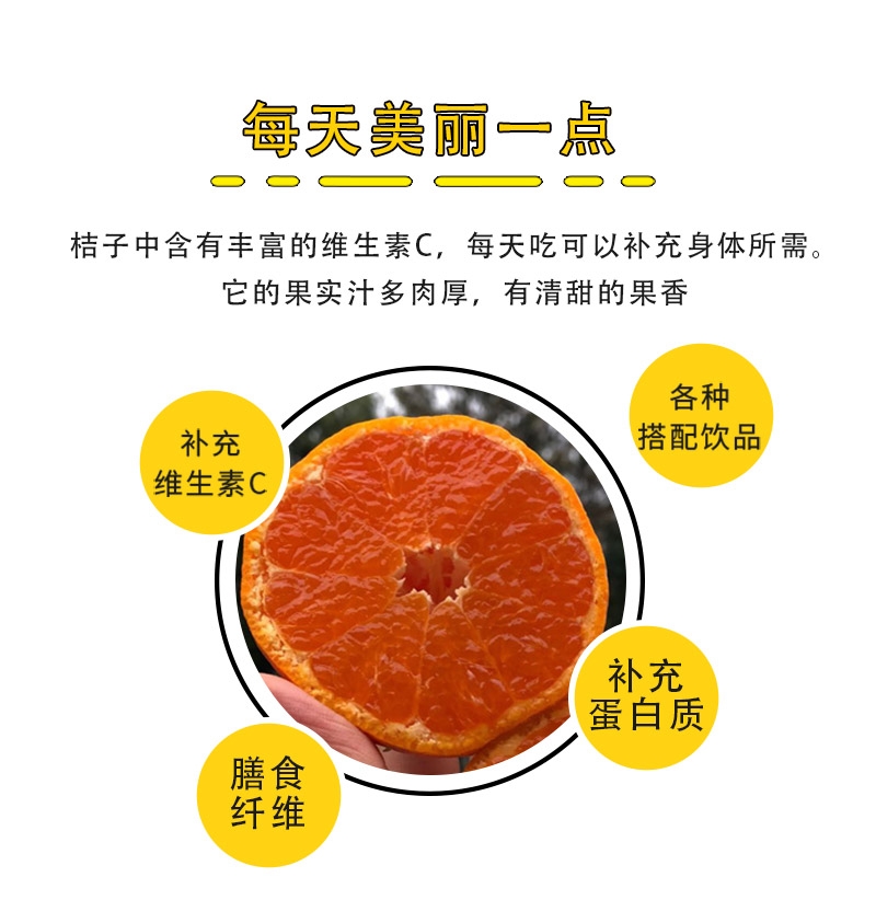 蜜桔  自家果园现摘现发无核涌泉蜜橘早熟宫川桔子幼儿水果柑桔