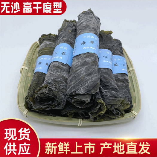 霞浦县鲜海带  霞浦海带 厂家批发海带卷干度高无沙无泥