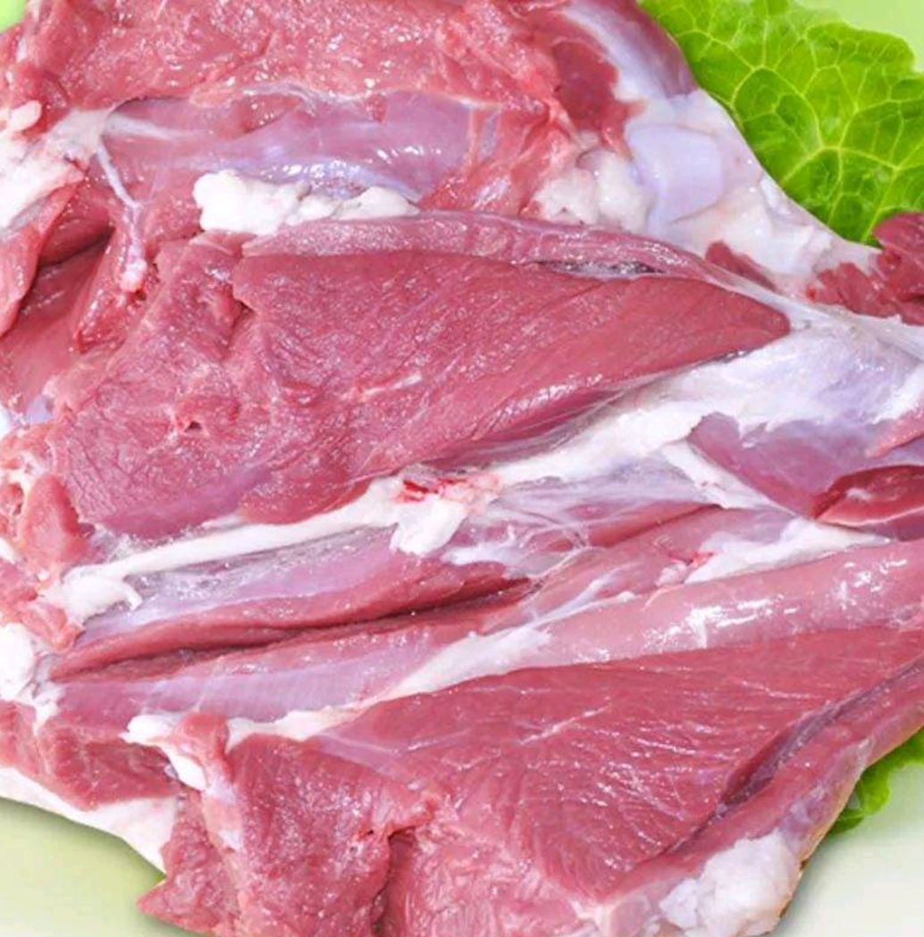  新疆伊犁绵羊  哈萨克羊
