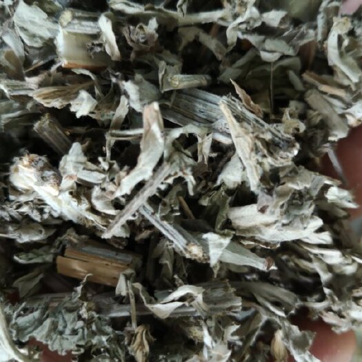 亳州艾草  真材实料，源头厂家