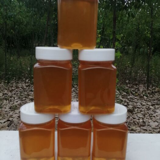 长葛市荆条蜜  蜂蜜荆条蜂蜜农家自产批发零售支持代卖一件代发。