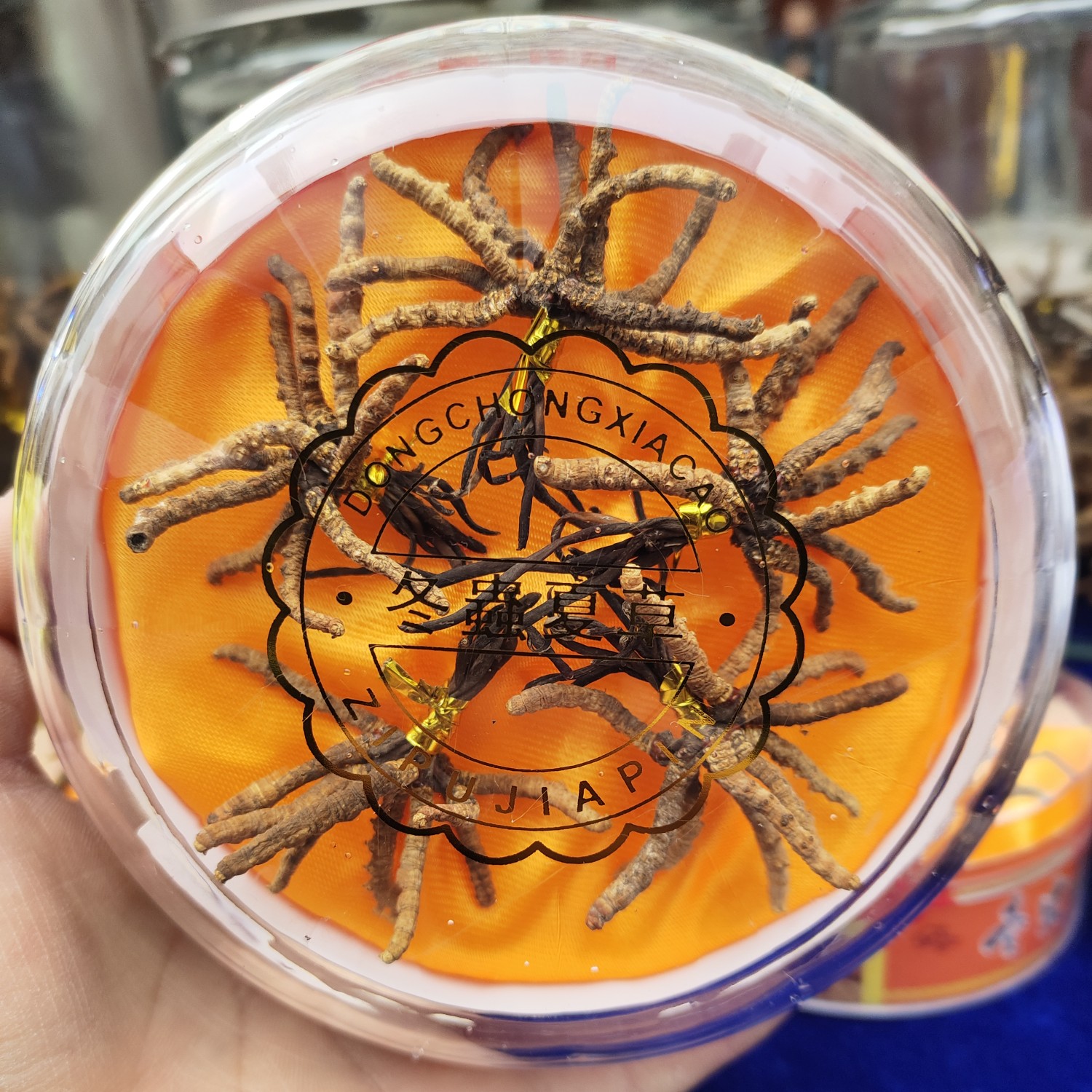冬虫夏草 西藏特产好虫草高海拔西藏虫草20根起全