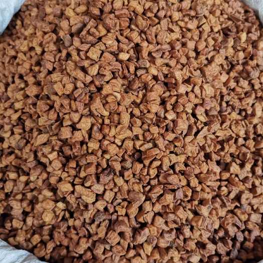玉林中藥材批發(fā)菊苣根    量大從優(yōu)