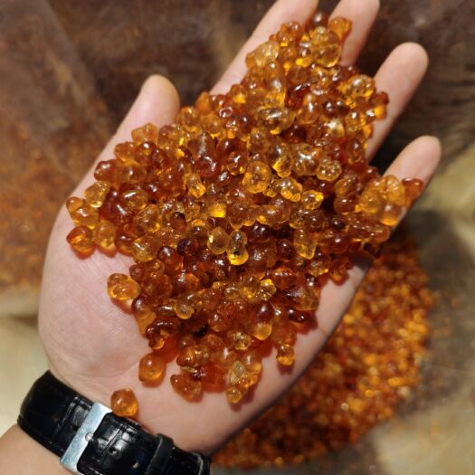 广州野生桃胶 特级天然食用桃胶500克一斤