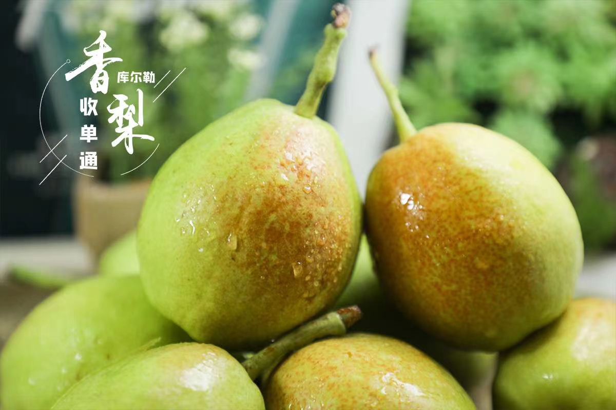 库尔勒香梨 库尔勒香梨新疆产地直发承接一件代发供应链整车业务