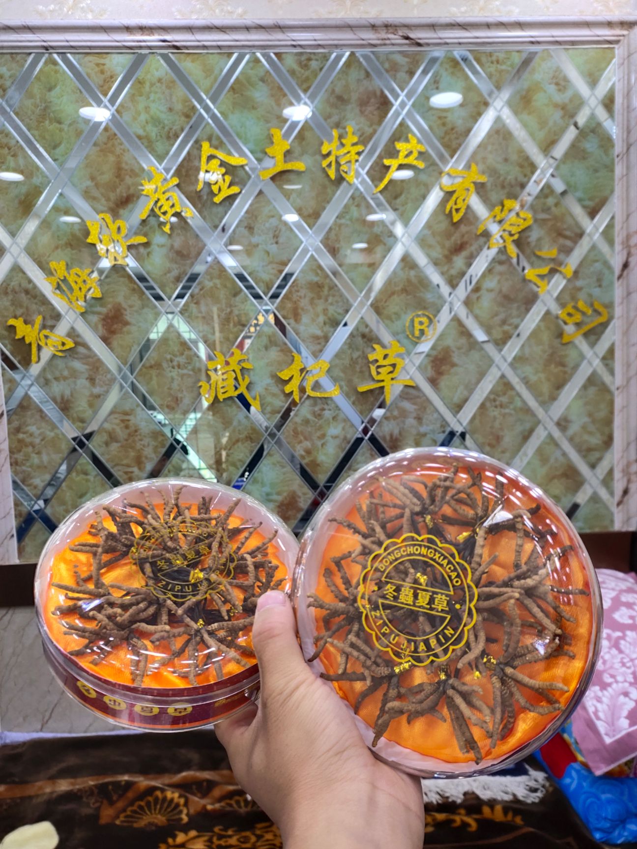 冬虫夏草 西藏特产好虫草高海拔西藏虫草20根起全