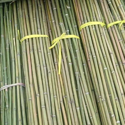 菜架竹  批发各种规格优质的竹竿，2-3年的竹竿价格实惠，
