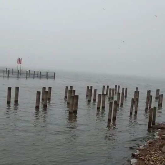 盐城 大闸蟹