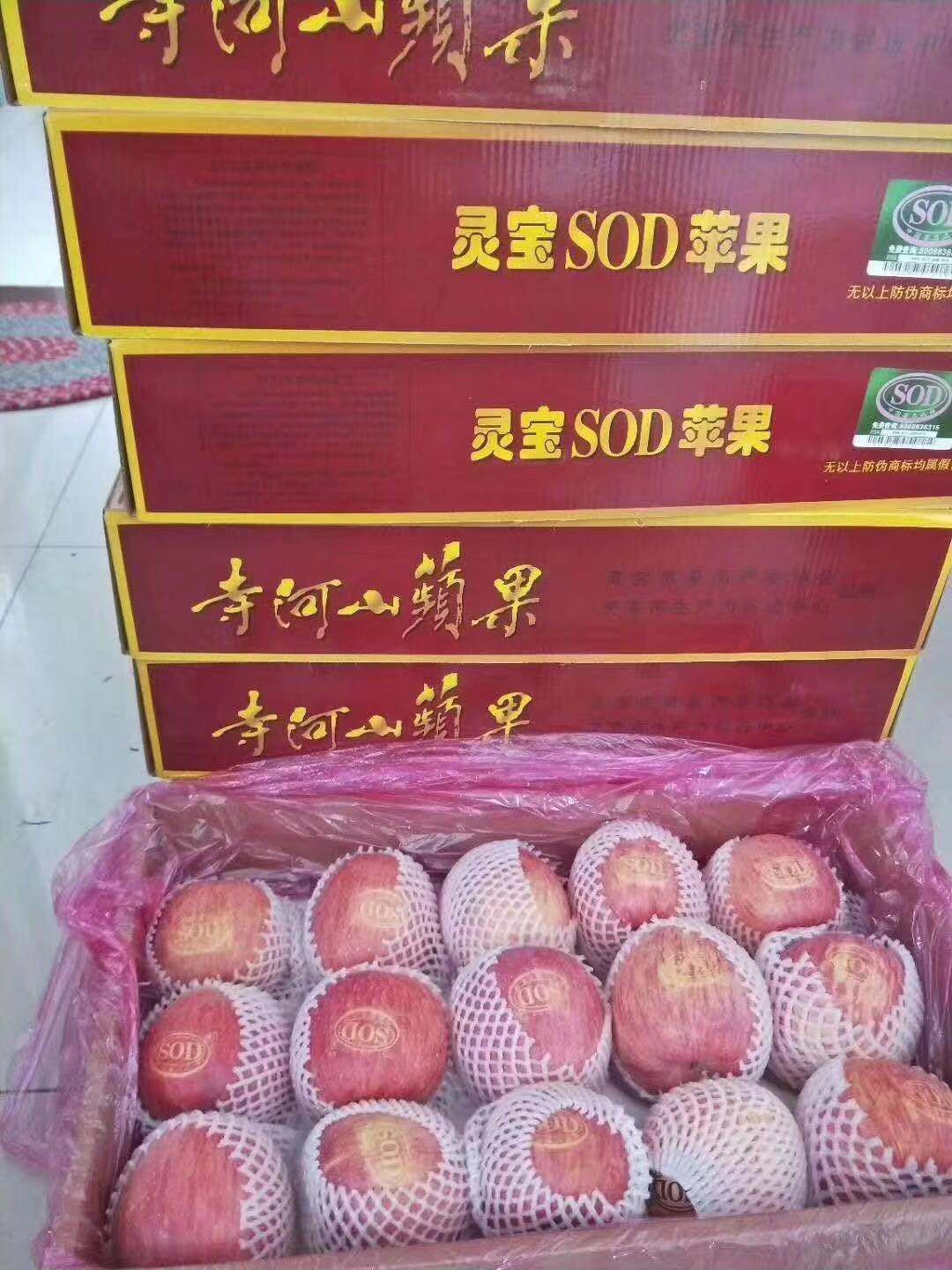 红富士苹果 昼夜温差大，糖心比较高