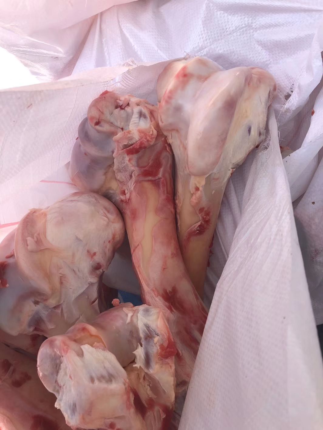 牛骨  牛棒骨纯圆，熬汤牛棒骨