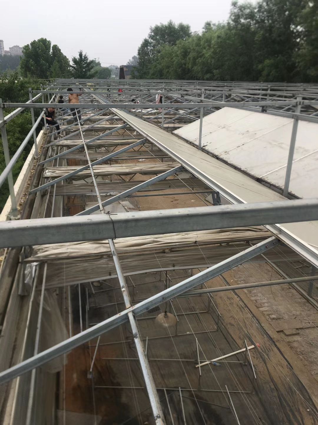 玻璃温室大棚  出售3200平方二手温室大棚，中空玻璃，顶部阳光板