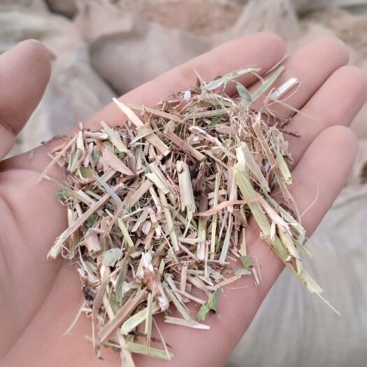 周口 花生秧
