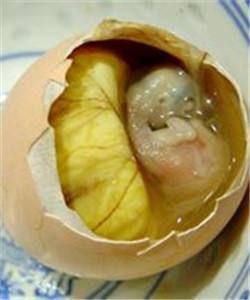 正定县毛蛋活珠子