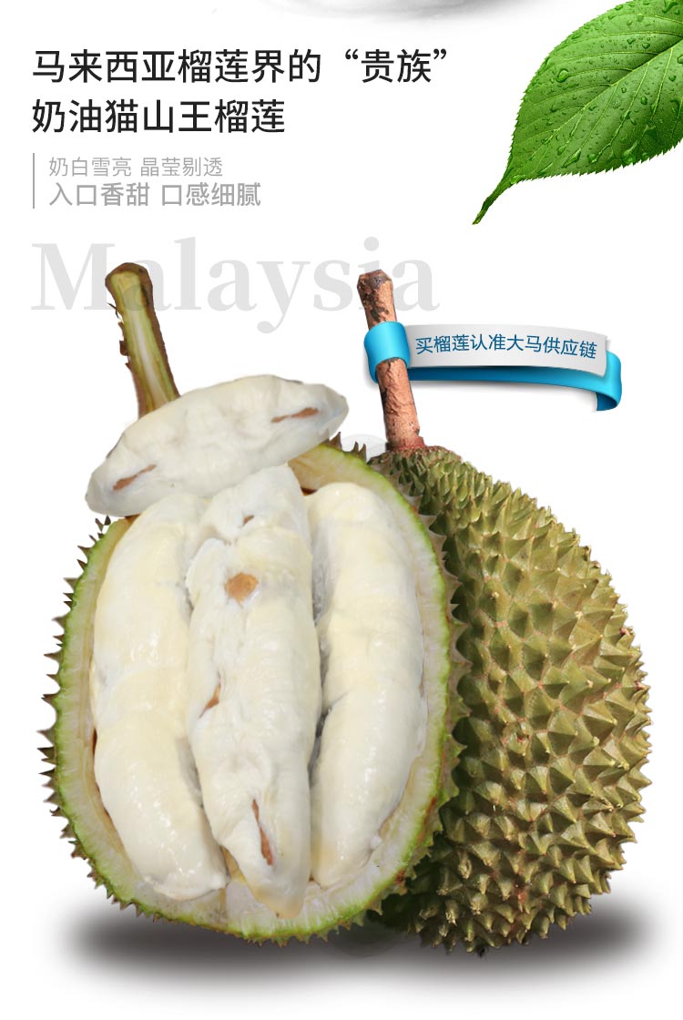 高利润款-马来西亚奶油猫山王榴莲/4-6头/一个代发另议