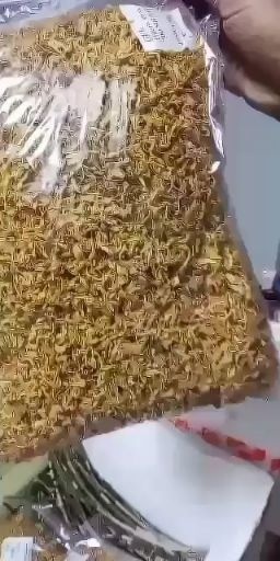 乐清市金石斛