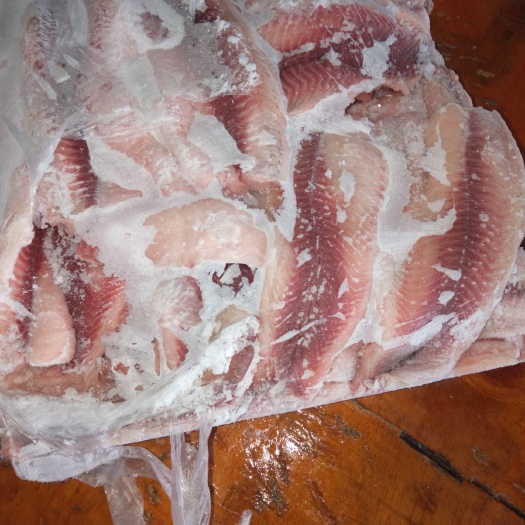 南宁麦鲮鱼  长期供应麦鲮(卡拉鲮)鱼肉