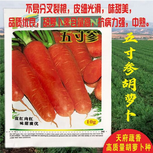 成都五寸参胡萝卜 胡萝卜种子皮红肉红味甜质优阳台春秋冬季盆栽高产