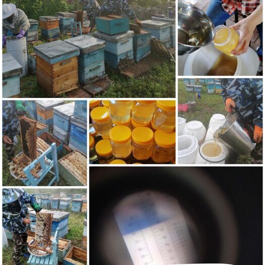 穆棱市百花蜜  东北农家天然成熟百花蜂蜜 口感纯正香甜 假一赔百