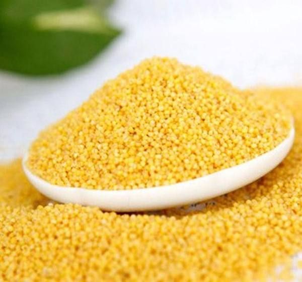 黄小米  收小米