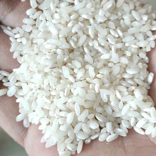 桂潮米  制作米粉米线米皮米豆腐肠粉等专用米，大量供应，货源