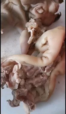 阳信县牛蹄筋