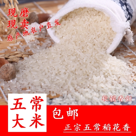 五常市新米上市东北大米五常市稻花香大米新米