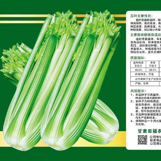 酒泉西芹种子 福禧文图拉