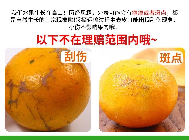 全国包邮当季特级鲜果武鸣沃柑助农水果现摘现发精品果九斤