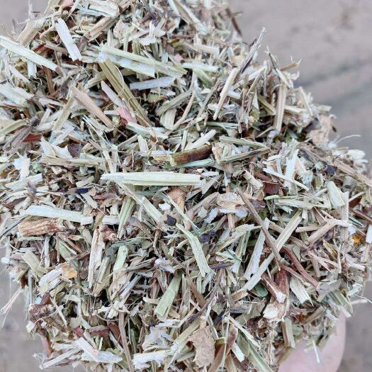 石家庄 花生秧段