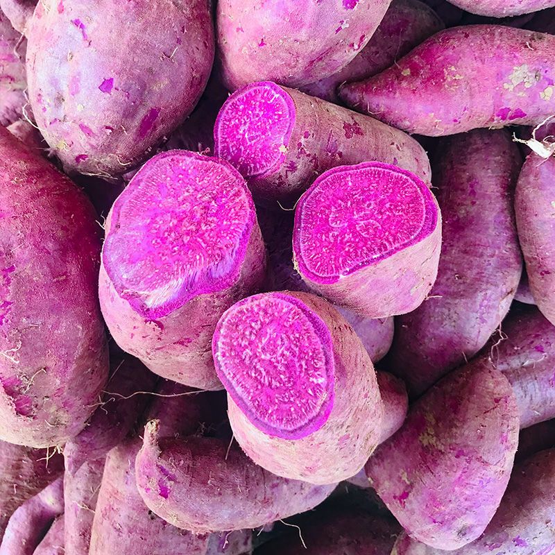 徐紫薯8号 紫薯基地2020新鲜紫薯200亩沙地种植基地对接电商平台紫薯