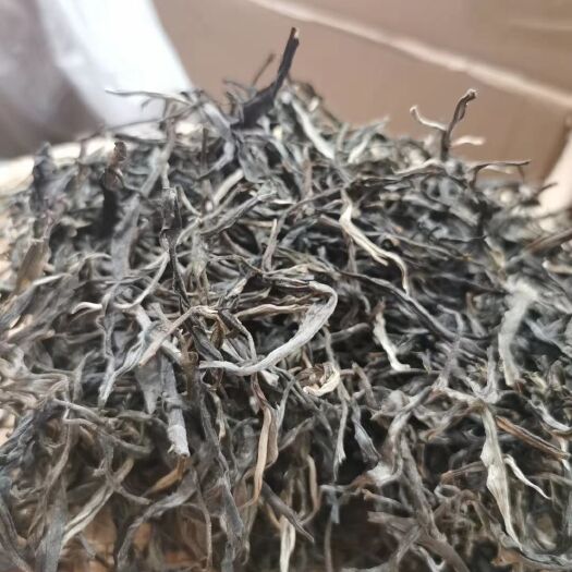 昆明大叶古树普洱茶  堂梨山古树生茶/公斤