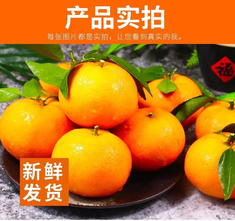 全国包邮当季特级鲜果武鸣沃柑助农水果现摘现发精品果九斤