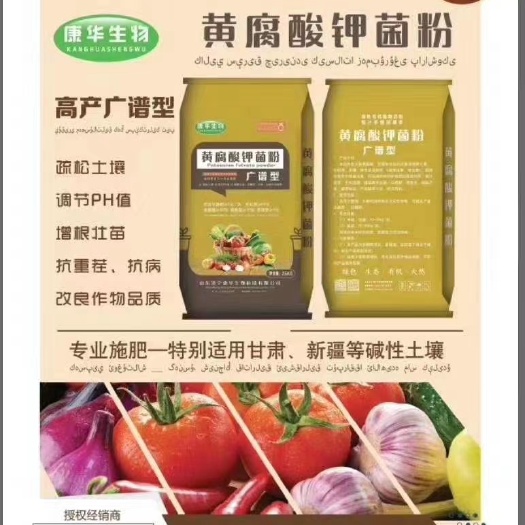 济宁菌肥  康华黄腐酸钾菌粉