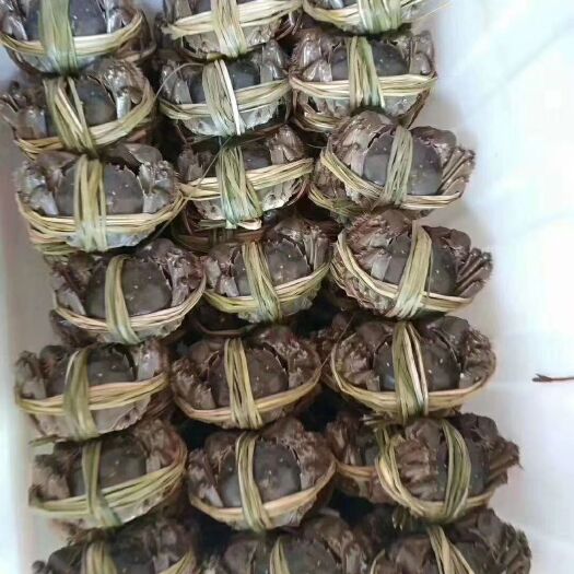 昆山市泰兴大闸蟹 统货 多规格 