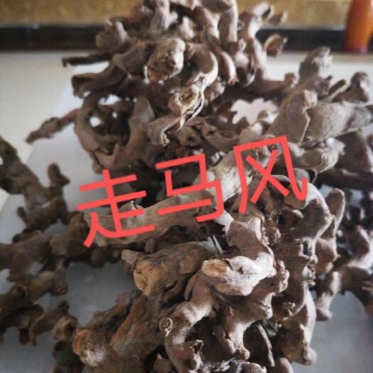 宁远县防风  走马风1斤起批每斤1000元