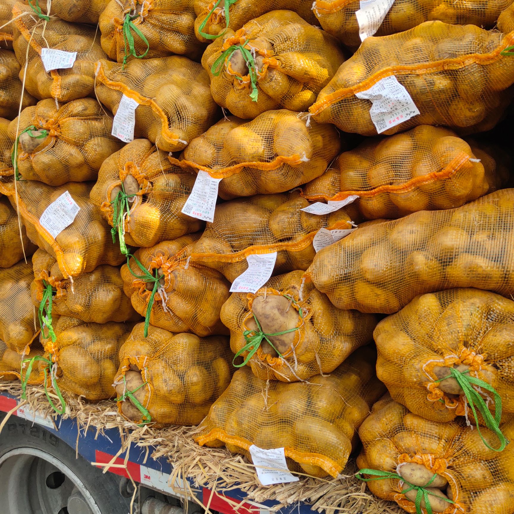 邹城市土豆种子优质脱毒原种、产量高、抗病强！亩产过万，提供种植技术