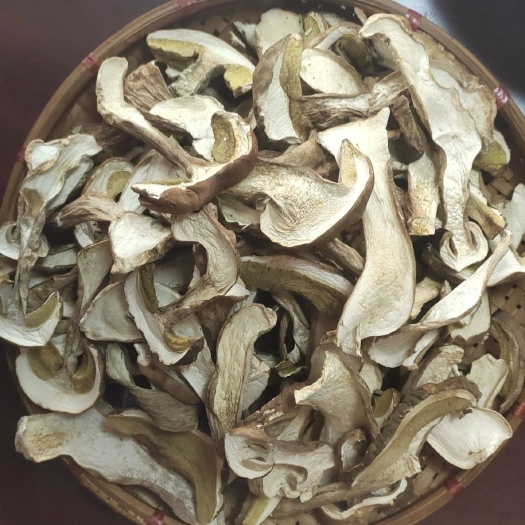昆明美味牛肝菌 美味白牛肝菌
