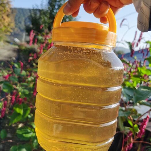 穆棱市 自家东北椴树蜜，靠山靠水好空气。