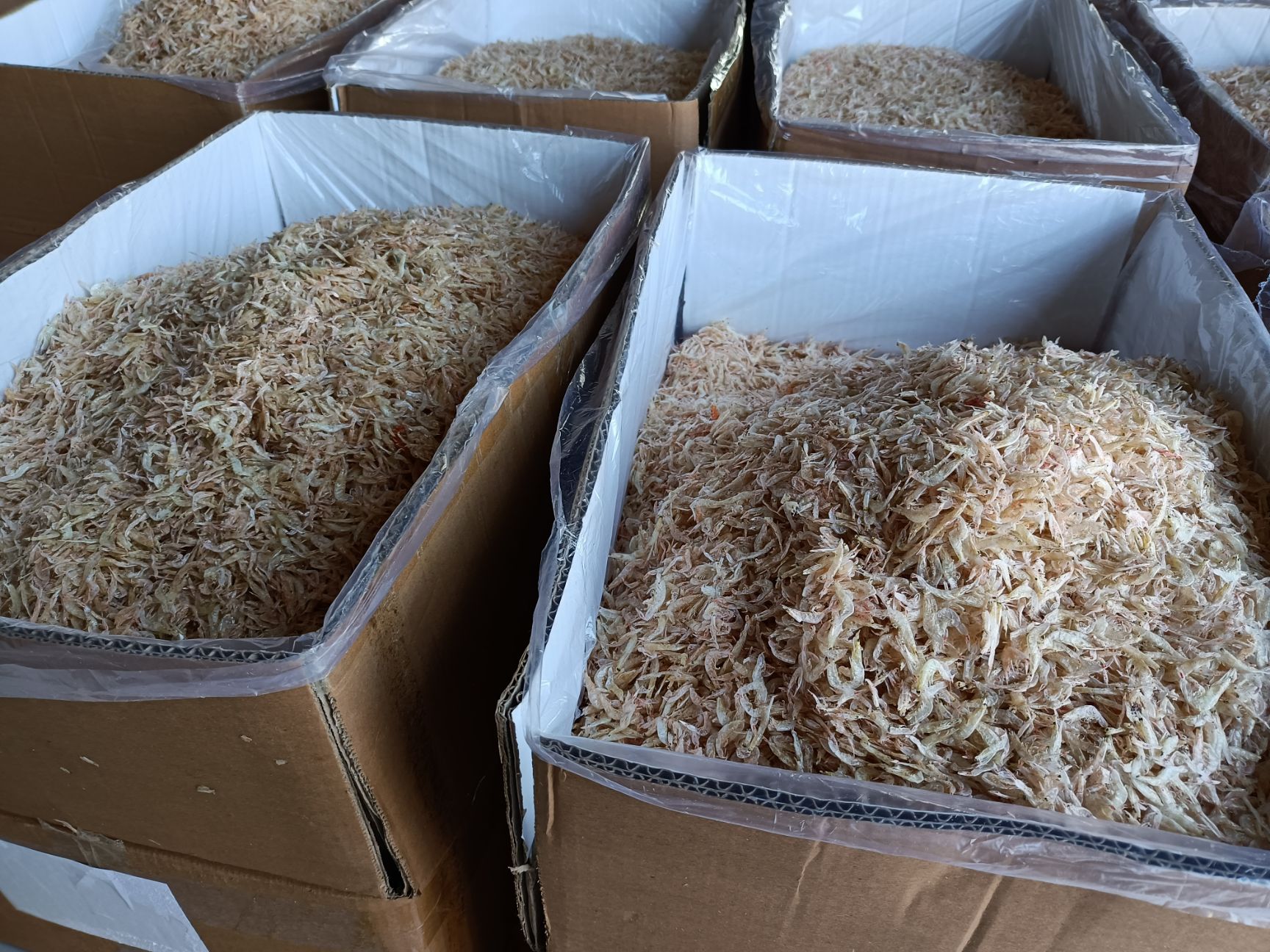 生烘虾皮   十成干，***，零盐分