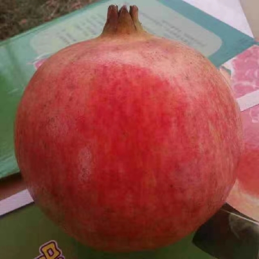 荥阳市突尼斯软籽石榴 保证味道优美，吃了忘不了