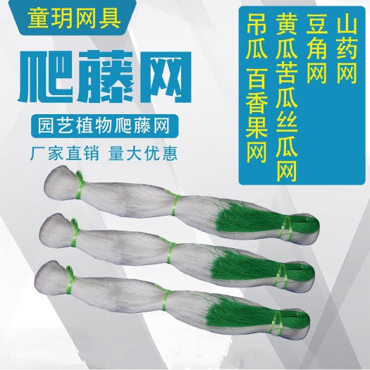 无棣县爬藤网  植物各类山药豆角豌豆不老豆四季豆扁豆攀爬种植网农业