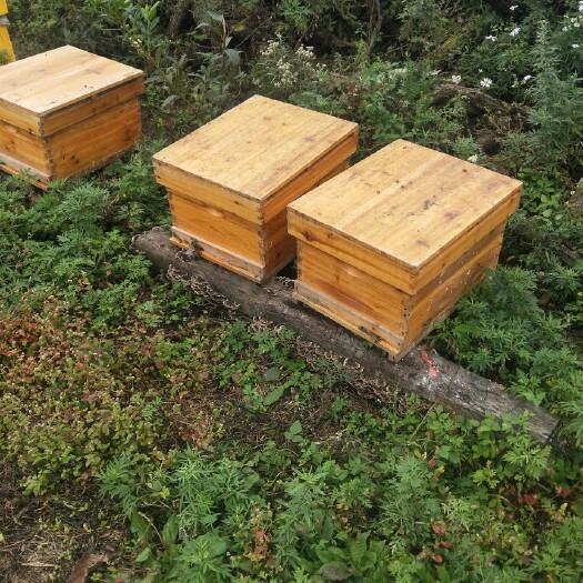 洛南县土蜂蜜，剂