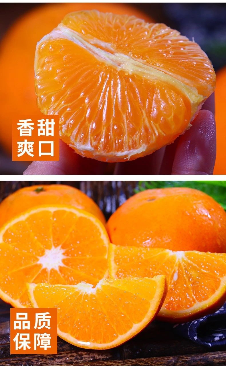 全国包邮当季特级鲜果武鸣沃柑助农水果现摘现发精品果九斤